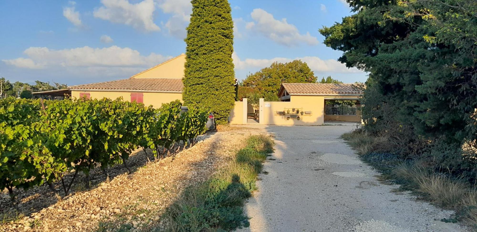 Mas La Gentille ,,, A La Campagne , Beautiful Outdoor , Swimming Pool , Pool House , Nice Green Garden , Bbq ,,, Only For You , Pour Passer Un Sejour Inoubliable Pernes-les-Fontaines Eksteriør billede